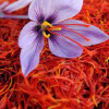 Фото:
EastFruit