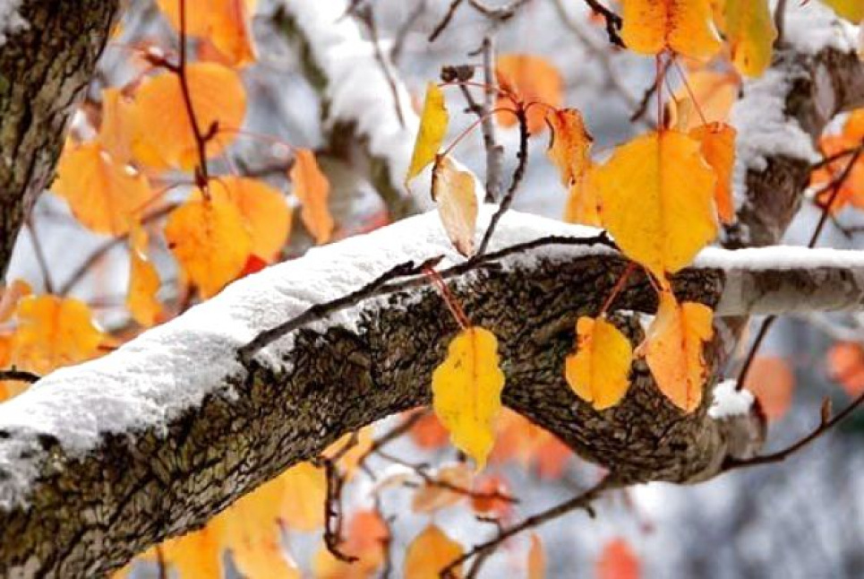 Вітряно, до + 14° С, у Карпатах– сніг: якою буде погода на початку тижня Фото:
20 хвилин