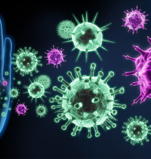 Міжнародний день імунології: досягнення та виклики