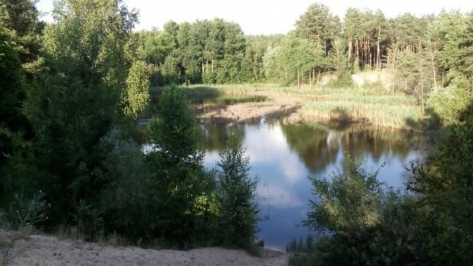 В Киеве создадут заказник «Озеро Лосиное» — экологи Озеро