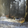 Фото:
zn.ua