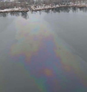 В Киеве на озере появились нефтяные пятна — прокуратура расследует загрязнение Нефтяные пятна