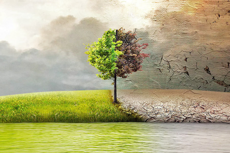 Україна не отримає коштів із кліматичного фонду ООН, потрібно самостійно шукати інвестиції — експерт Фото:
Вінницька обласна універсальна наукова бібліотека ім. К. А. Тімірязєва