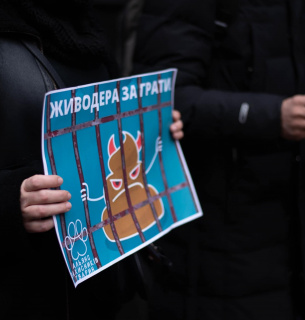 Зоозащитники пикетируют Офис Генпрокурора с требованием наказать догхантера Святогора (ФОТО) Фото со страницы Александра Тодорчука