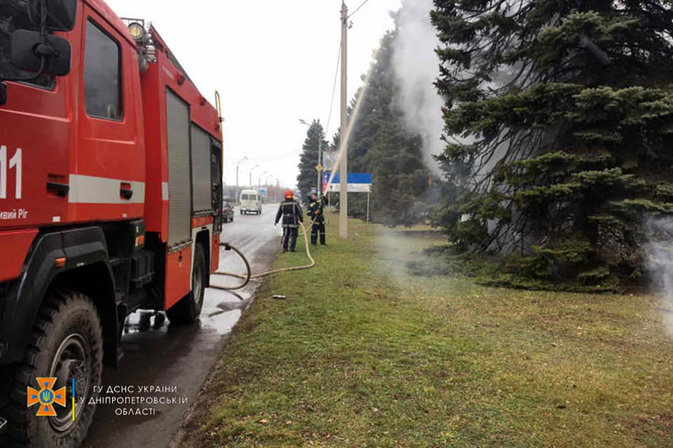 В Кривом Роге пенсионерка подожгла елку возле горсовета ФОТО: ГСЧС