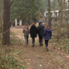 Дорога в школу