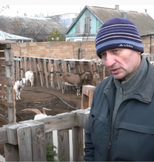 На Херсонщині з'явився притулок для кіз — хазяїн тримає понад 50 тварин (ВІДЕО) Фото: скрін із відео