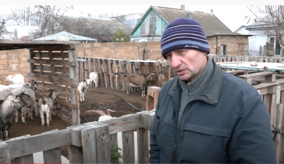 На Херсонщині з'явився притулок для кіз — хазяїн тримає понад 50 тварин (ВІДЕО) Фото: скрін із відео