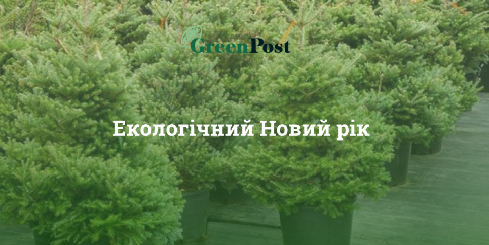 Фото: greenpost.ua