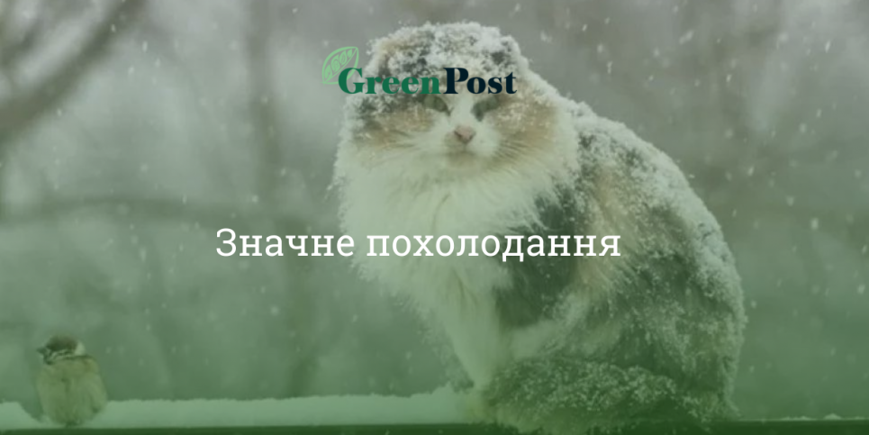 В Україні з понеділка морози вдарять до -20 градусів