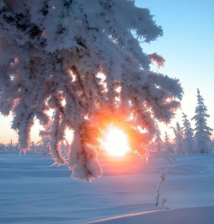 День зимового сонцестояння 2025: коли найкоротший день року та традиції