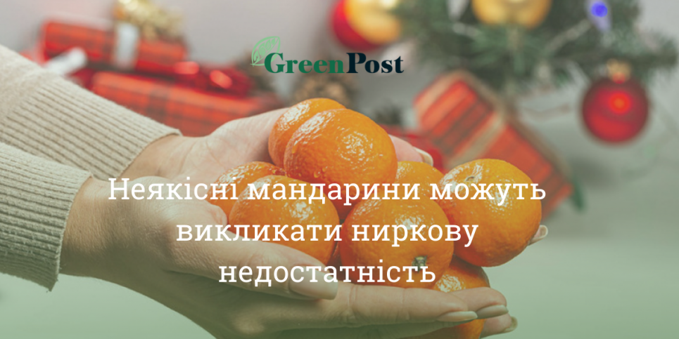 Як вибрати найкращі «новорічні» мандарини