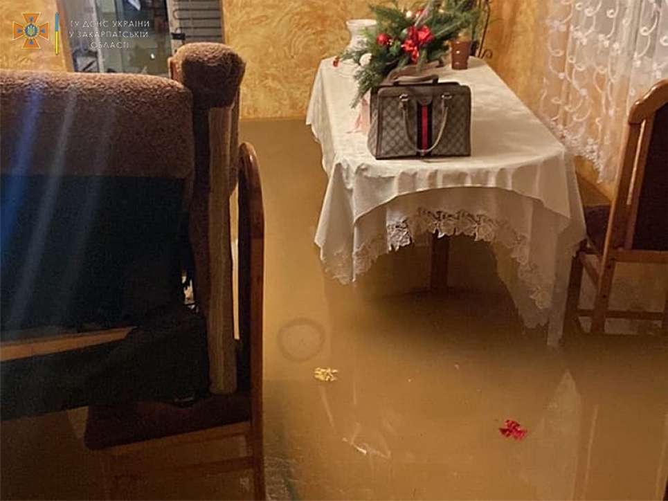 На Закарпатті — вода у дворах та селеві потоки на дорогах: деталі (ФОТО) Фото: ДСНС