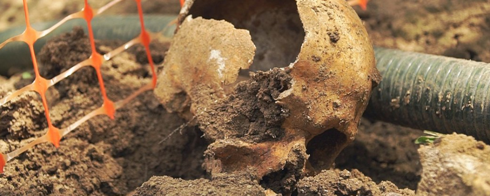 Найдены новые останки Homosapiens. Современному человеку 230 тысяч лет?