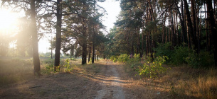 Суд вернул общине Земельный участок Беличанский лес