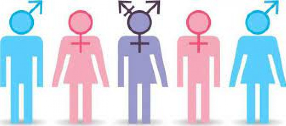 Франція заборонила конверсійну терапію, якою «лікують» тих, хто хоче змінити стать