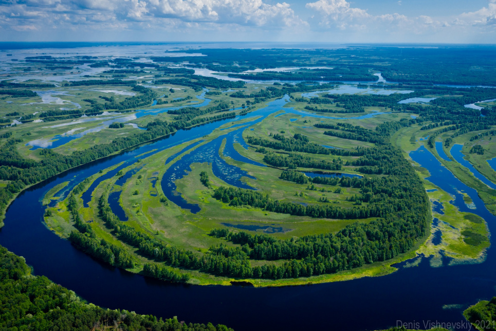 WORLD WETLANDS DAY: у Чорнобильському заповіднику до Європейського червоного списку належить більше 20 видів флори і фауни Водно-болотні угіддя