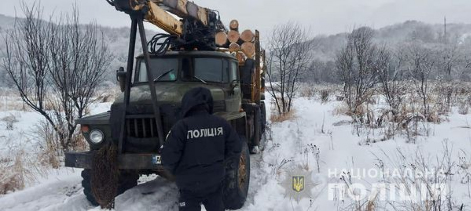 В Закарпатье полицейские задержали грузовик с нелегальной древесиной