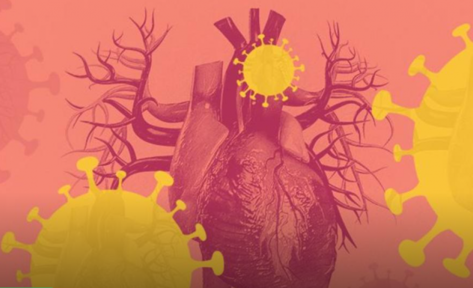 Потенційно смертельне ускладнення виникає після кількох місяців одужання від коронавірусу Коронавірус