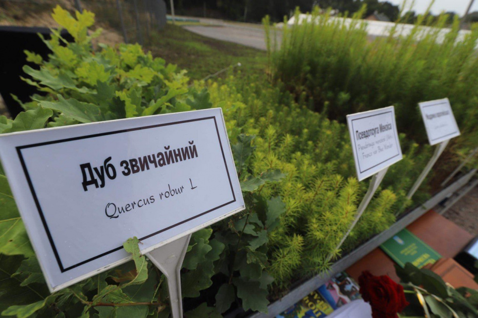 В 2022 году планируется строительство восьми семенно-селекционных заводов Саженцы