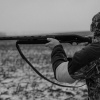 На Дрогобиччині браконьєр вполював лося