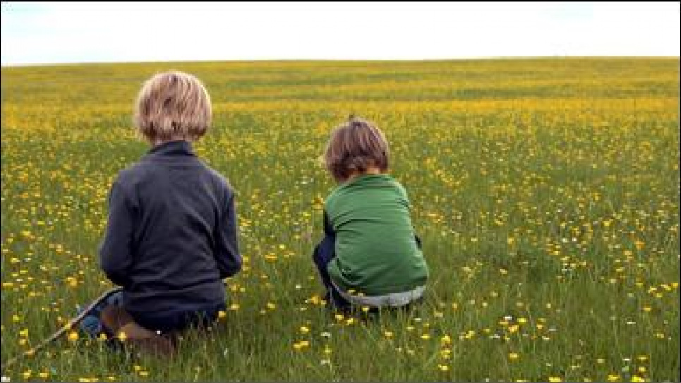 Мозг мальчиков-аутистов отличается от мозга аутистов-девочек, исследования Мальчик и девочка