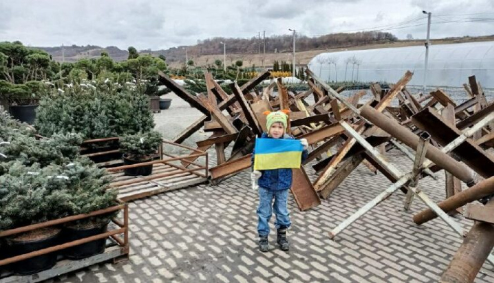 Одна з найбільших лавандових локацій Львівщини тепер у протитанкових їжаках