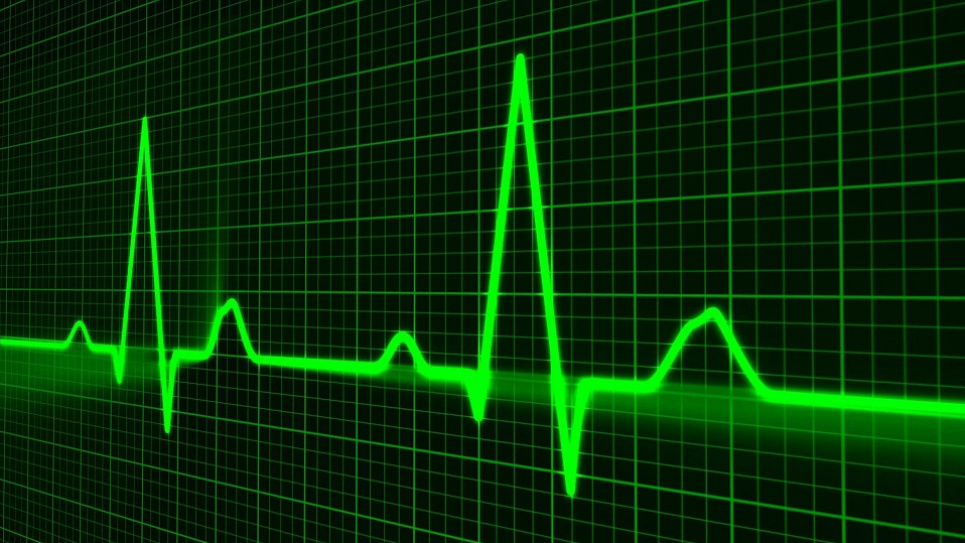 Частота в середньому віці понад 75 за хвилину подвоює ризик ранньої смерті, а понад 90 – потроює: як «читати» пульс