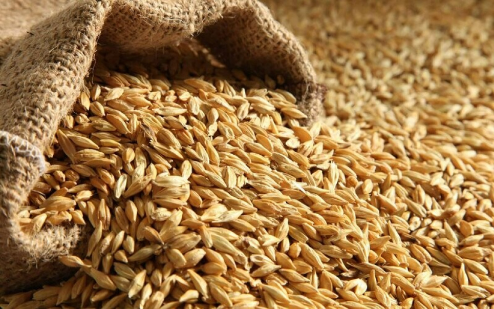 Польща заборонила імпорт зерна та іншої сільськогосподарської продукції з України