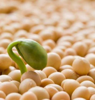 Фото иллюстративное