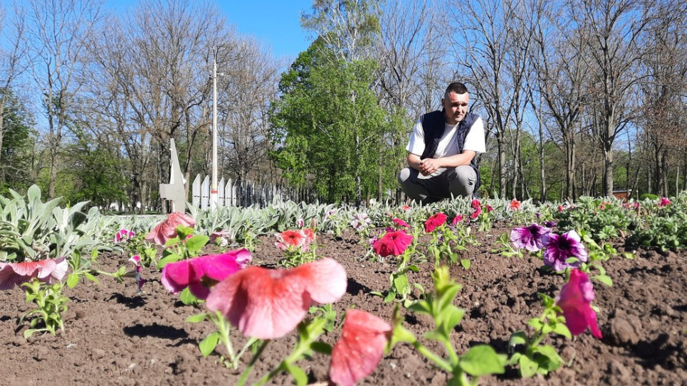 Кропивничанин висадив 300 петуній у пам'ять про загиблих українців ФОто: Суспільне Кропивницький