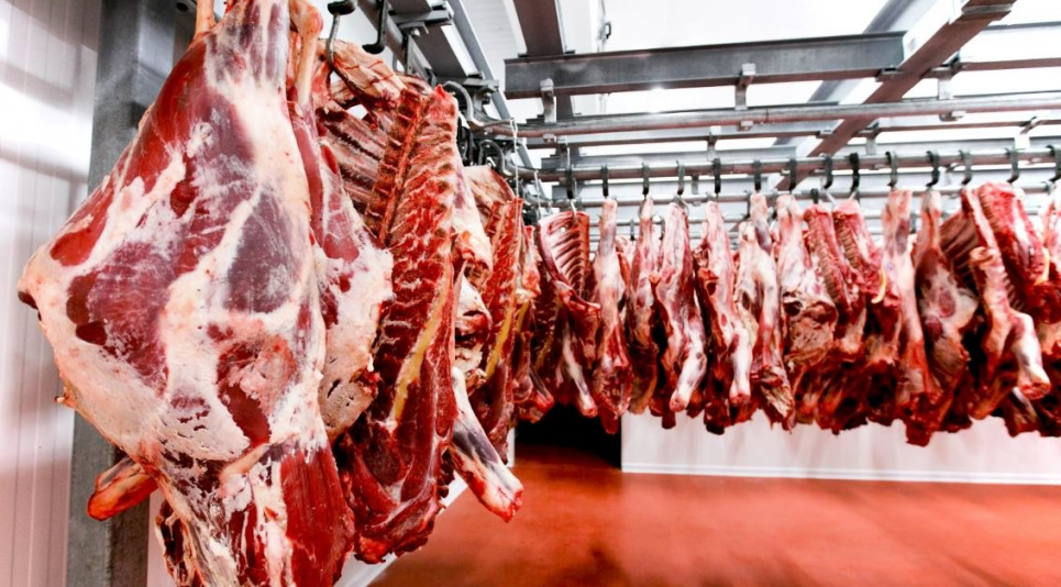 Виробники м’ясної продукції вимушені шукати альтернативні шляхи для експорту