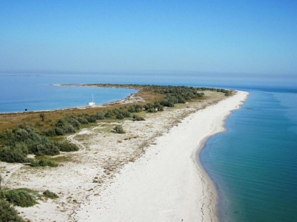 Окупанти знищують екосистему Азовського моря, — Маріупольська міська рада