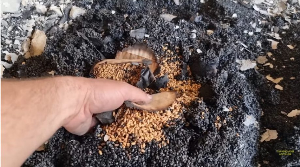 Російські окупанти знищили єдиний в Україні рослинний банк(ВІДЕО)