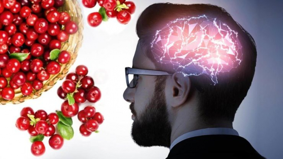 Знайдено простий продукт, який може знизити ризик розвитку деменції