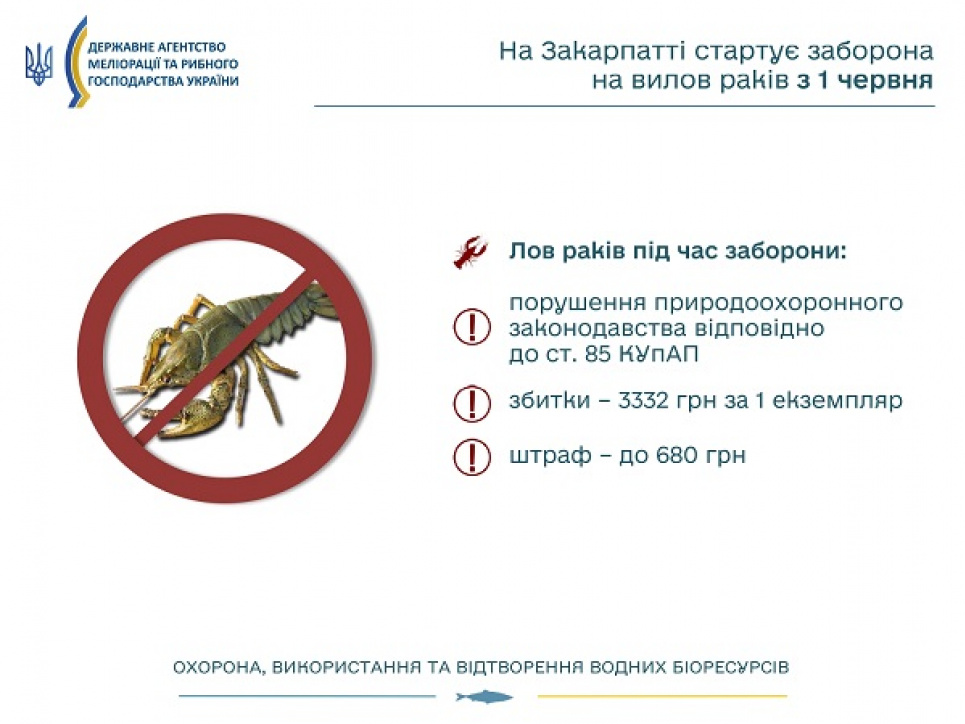 Стало відомо, де відсьогодні стартувала заборона на вилов раків