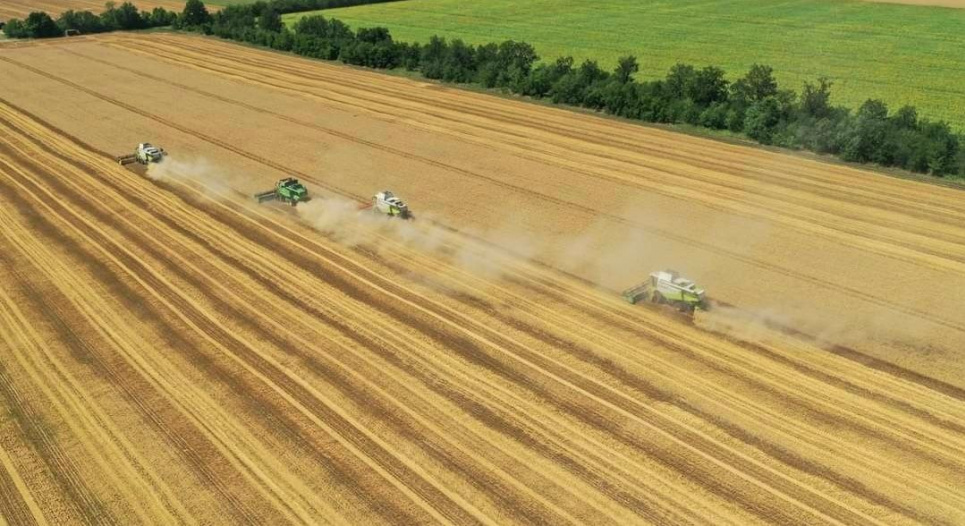 Жнива-2022 стартували, на Одещині розпочався збір озимого ячменю