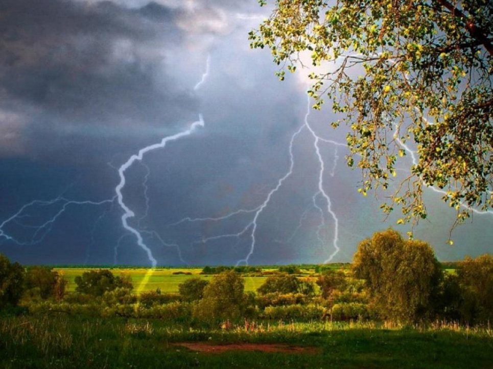 У східних, південно-східних, Волинській та Львівській областях очікуються грози-якою буде погода 13 червня