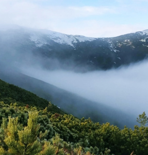 Справа про 2,6 га «Синевиру»: кадастровому реєстратору повідомлено про підозру