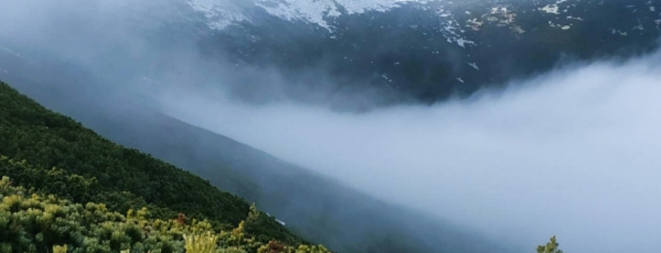 В Закарпатье вернули 2,6 гектара заповедных земель нацпарка Синевир