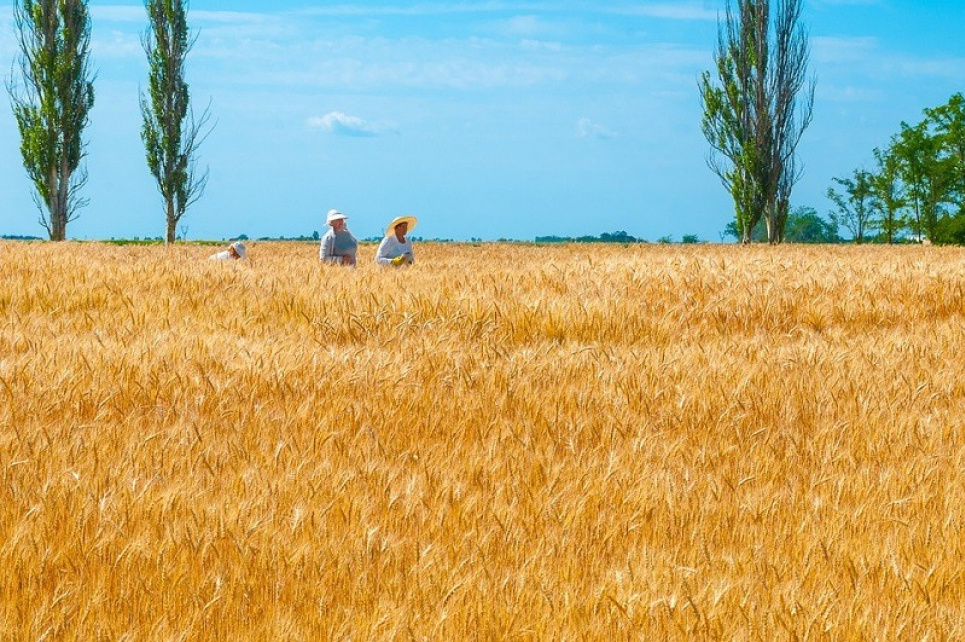 19 червня – День тих, хто рятує життя та годує країну! Фото:klike.net