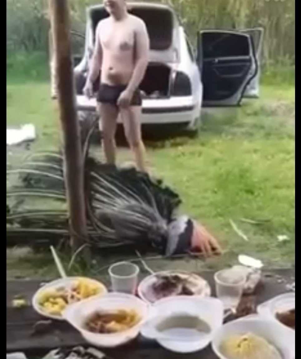 У Чернівцях п'яний молодик "на камеру" забив до смерті павича(ФОТО)