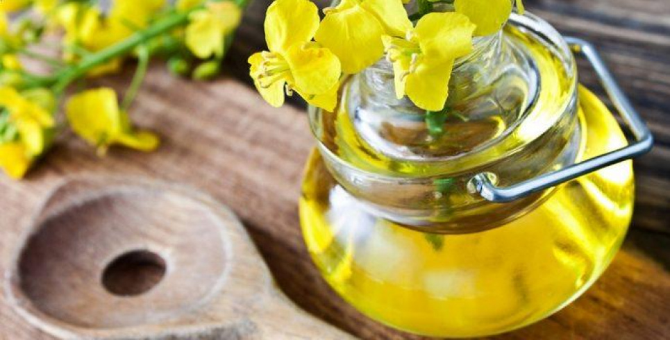 Користь та шкода рапсової олії для організму: склад, харчова цінність