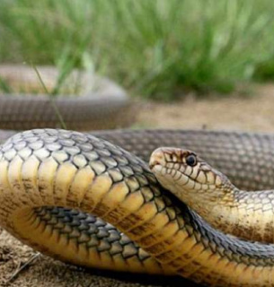 Фото з відкритих джерел