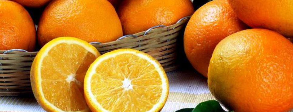 Сокращение поставок апельсинов из Испании