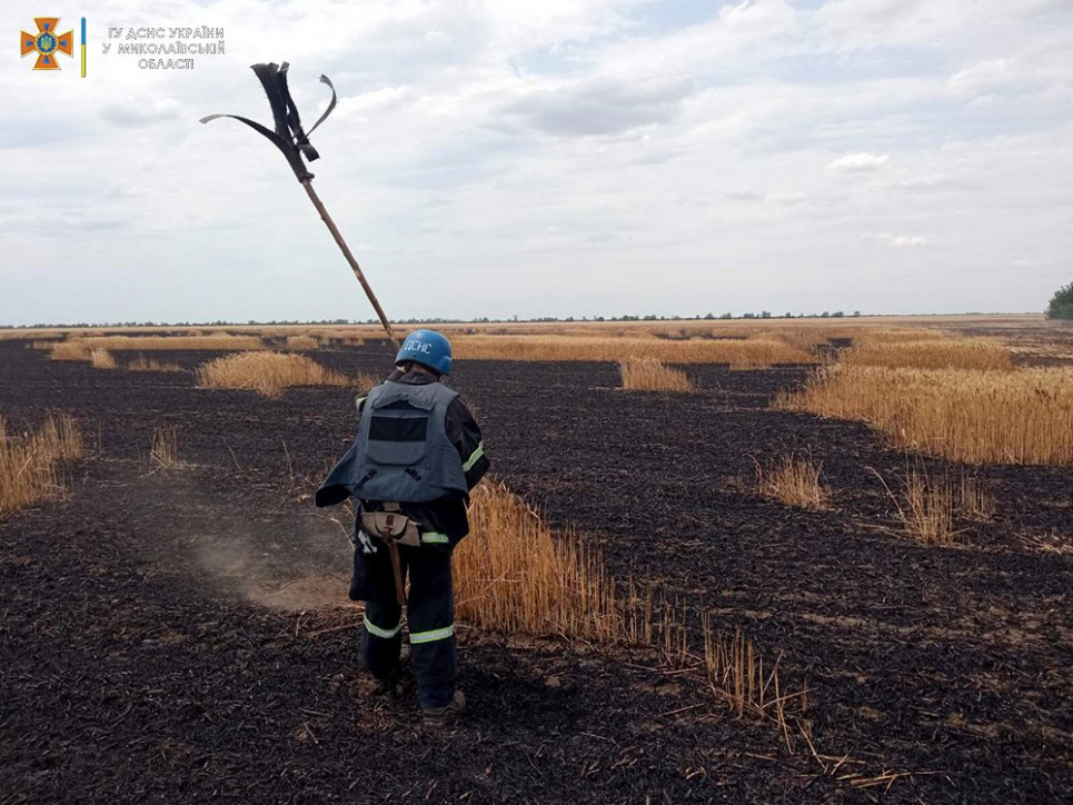 На Миколаївщині 10 га озимої пшениці на корені знищено пожежею, горіло зерносховище