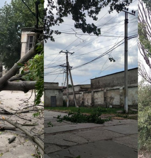 Негода на Одещині: зірвані дахи, повалені дерева(ФОТО)