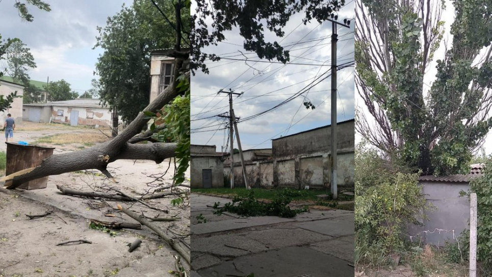 Негода на Одещині: зірвані дахи, повалені дерева(ФОТО)