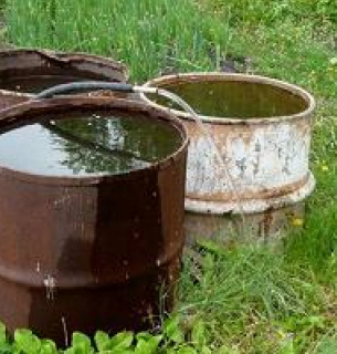 Що потрібно зробити, щоб вода в бочці не зацвіла: 3 простих, але ефективних прийоми