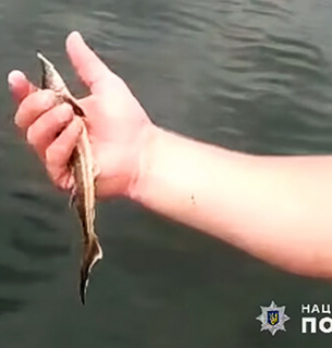 На Хмельниччині у сітку браконьєрів потрапила «золота» рибка (ФОТО)